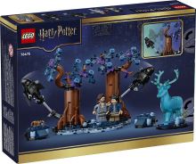 LEGO® Harry Potter™ Забранената гора: Експекто Патронум 76475 (1)