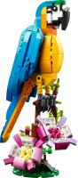 LEGO® Creator 3 v 1 31136 Екзотичен папагал (2)