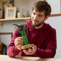 LEGO® Botanicals 10344 Бамбук за късмет (1)