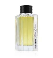 Montblanc Vetiver Glacier парфюмна вода за мъже 125 мл (1)