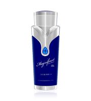 Armaf Magnificent Blue Pour Homme парфюмна вода за мъже 100 мл (1)