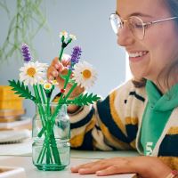LEGO® Botanicals 11508 Маргаритки (1)