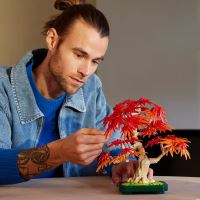 LEGO® Botanicals 10348 Бонзай Червен японски клен (4)