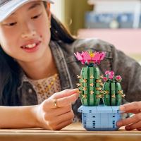 LEGO® Botanicals 11509 Цъфтящ кактус (1)