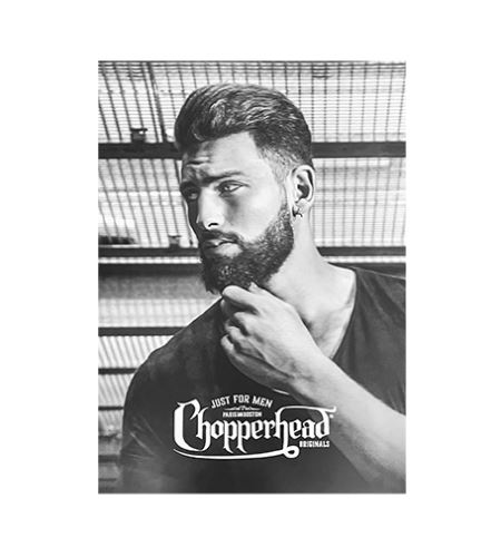 Chopperhead Poster 3 постер 50x70 cm