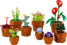 LEGO® Botanicals 10329 Малки растения (2)