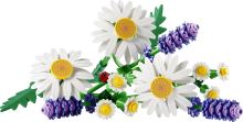 LEGO® Botanicals 11508 Маргаритки (2)